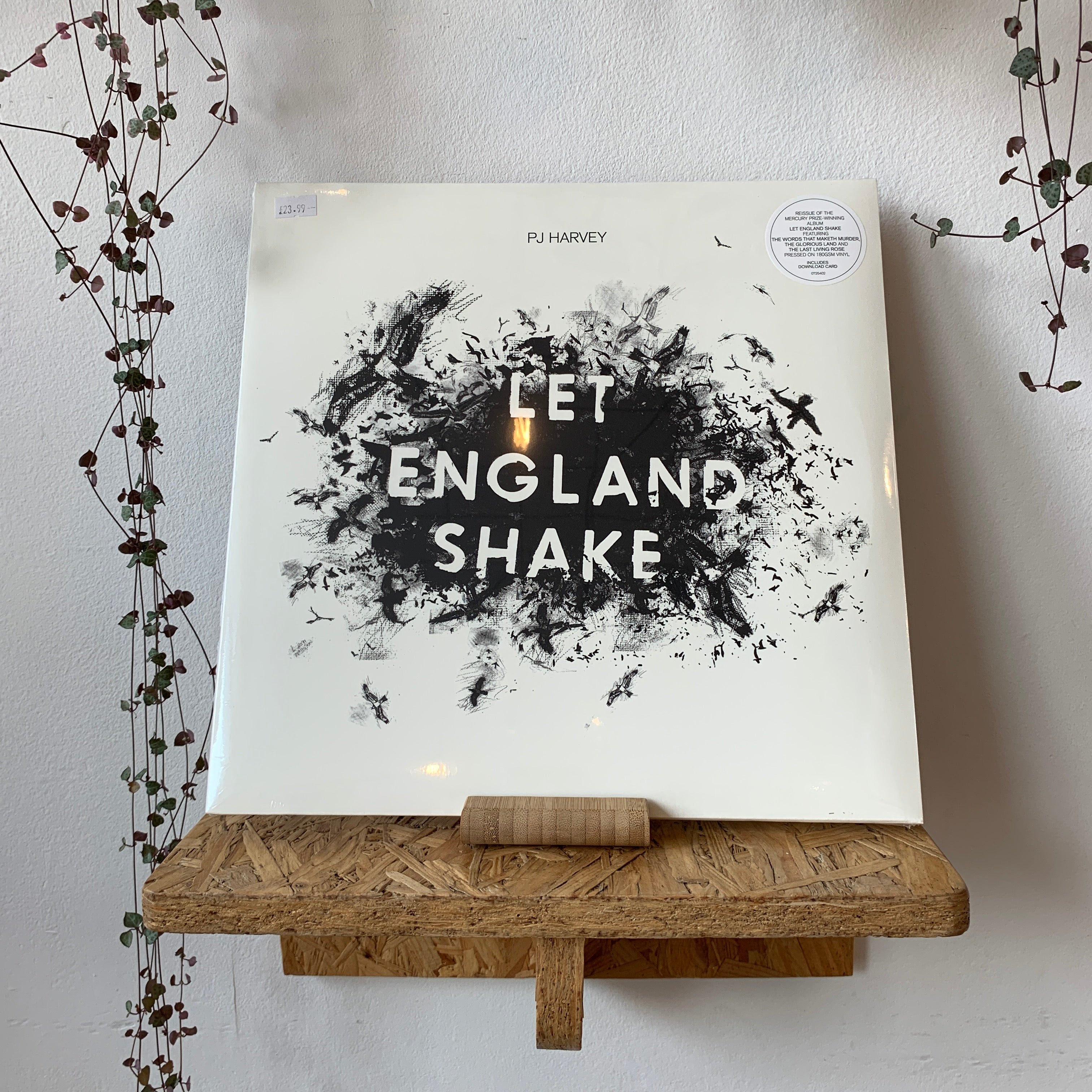 PJ Harvey - Let England Shake – Level Crossing Records