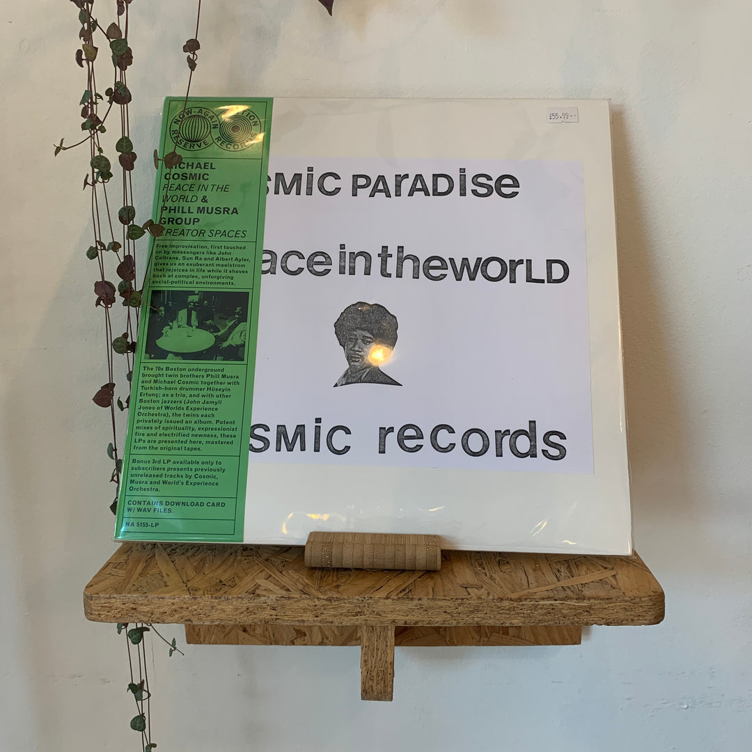 Michael Cosmic & Phill Musra Group - Peace In The World